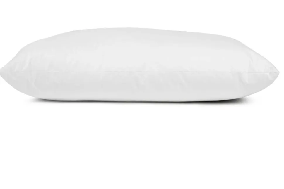 Familon Grande tyyny 60x80 cm