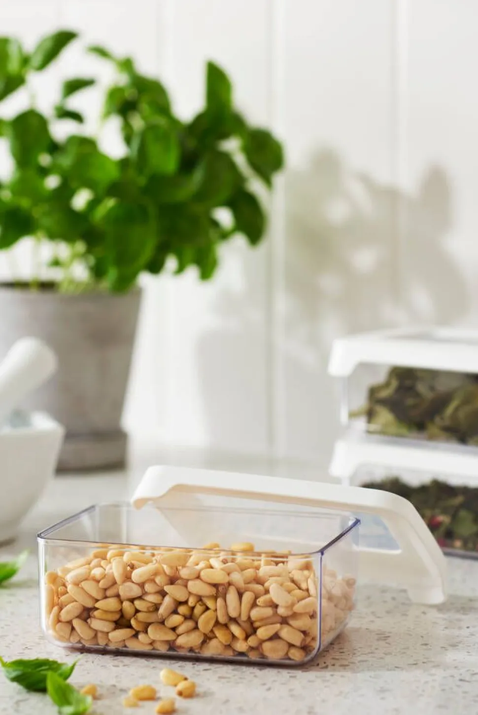 Gastromax säilytyspurkki 0,35 L kirkas/valkoinen