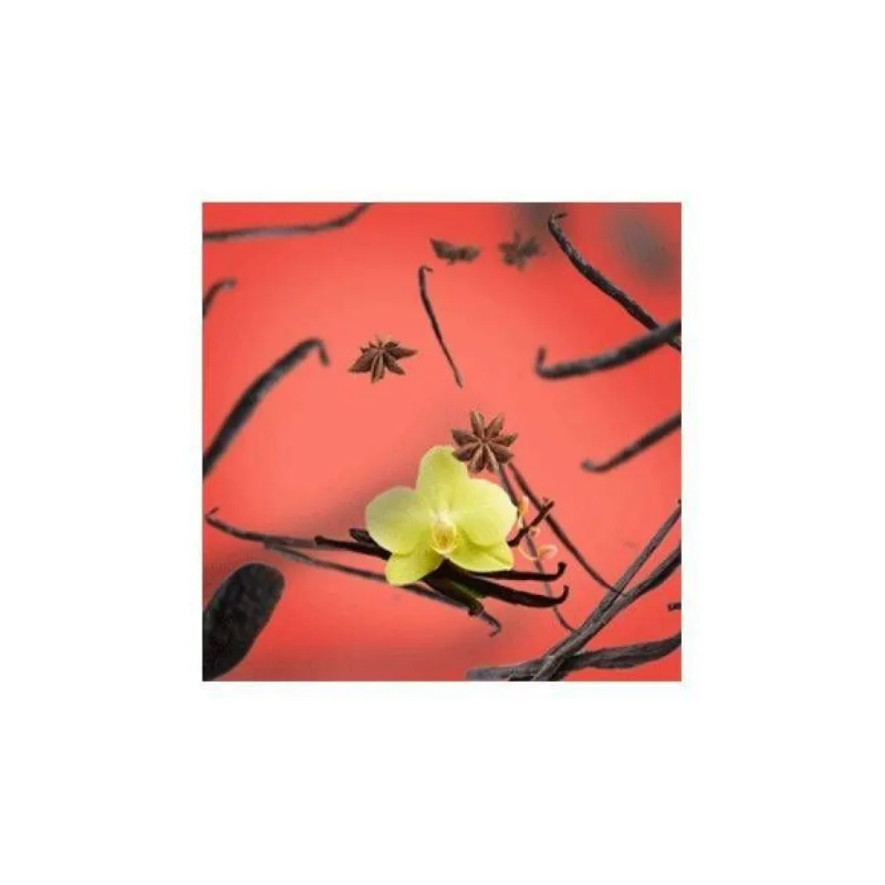 Maison Berger huonetuoksu Vanilla Gourmet 100 ml