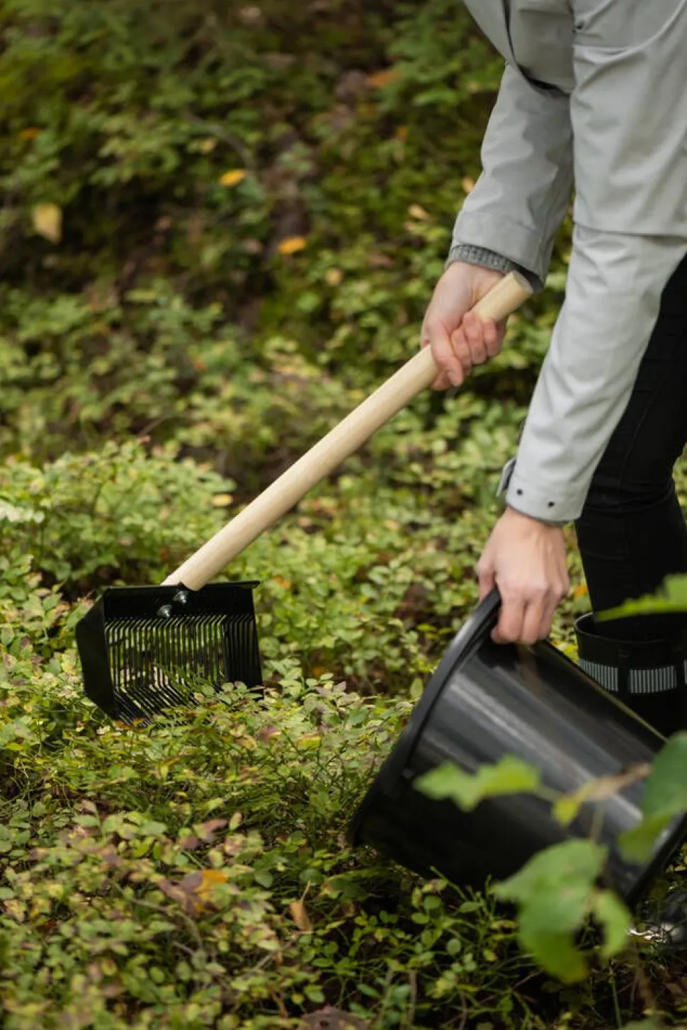 Marjukka marjaharava pro harvester