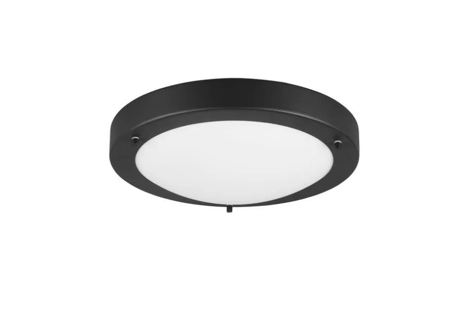 Trio Lighting kattovalaisin Condus H2O E27 mattamusta