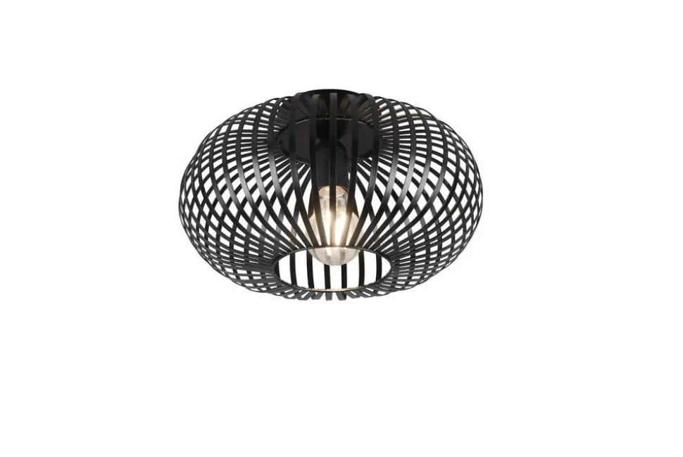 Trio Lighting kattovalaisin Johann 30 cm E27 mattamusta