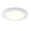 Trio Lighting kattovalaisin Condus H2O E27 valkoinen
