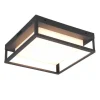 Trio Lighting LED kattovalaisin Witham antrasiitti